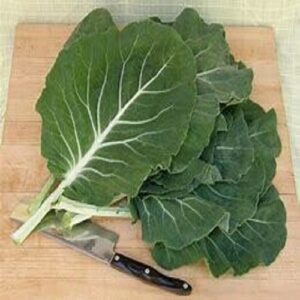 Kale/ bunch